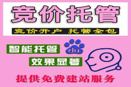 SEM账户运营实战技巧与案例解析
